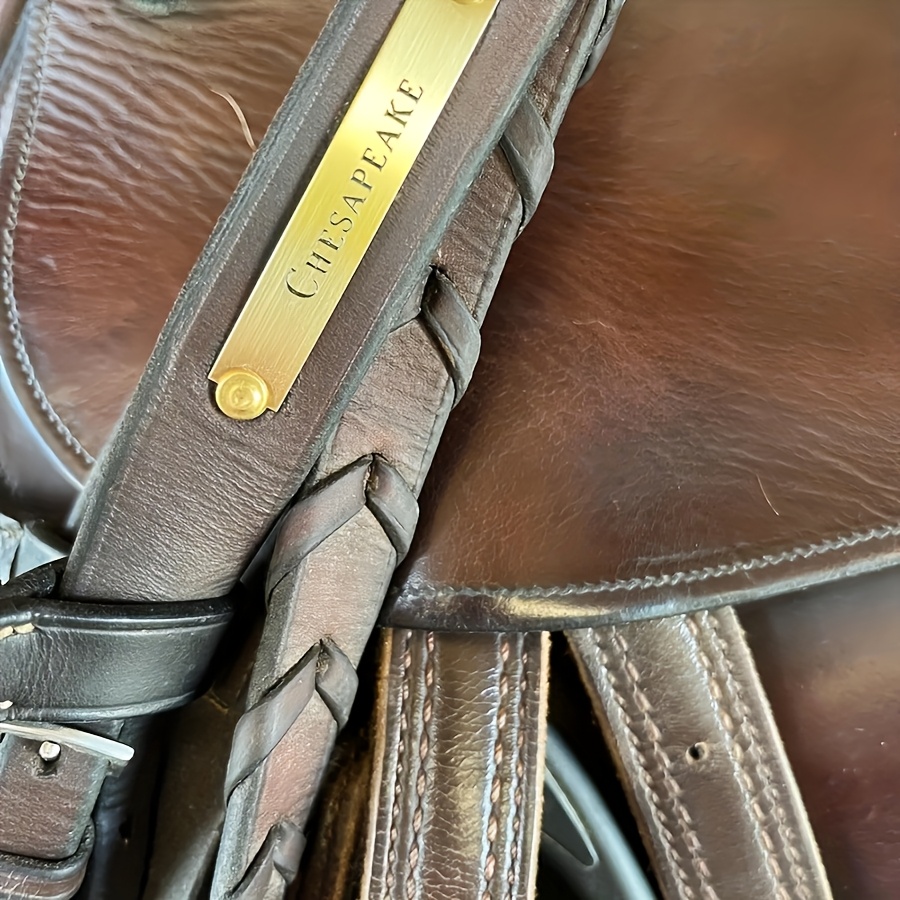 Customized Stainless Steel Las - Cycle Gear recension och pris